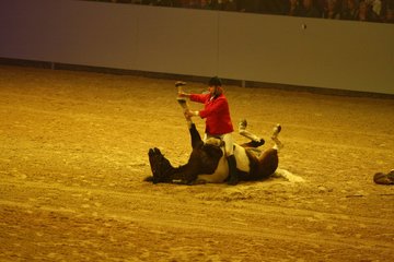 Bild 56 - Hansepferd Gala am 18.4.10